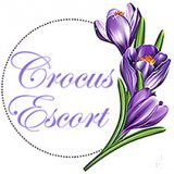 Escort Service Crocus Escort,  Heidelberg